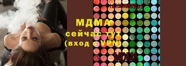 СК Новозыбков