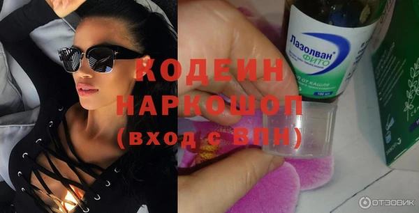 СК Новозыбков