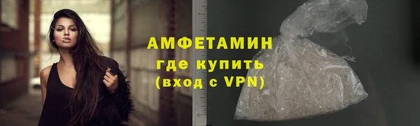 СК Новозыбков