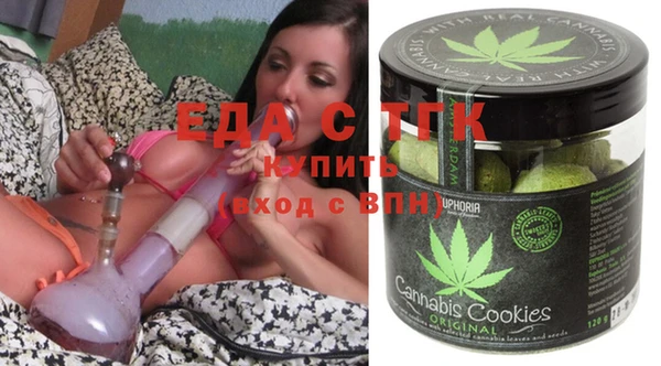 СК Новозыбков