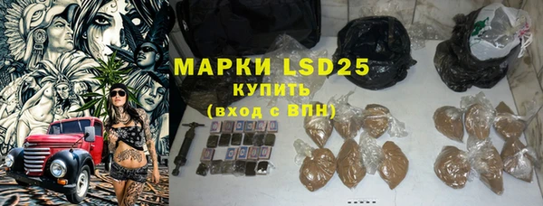 СК Новозыбков