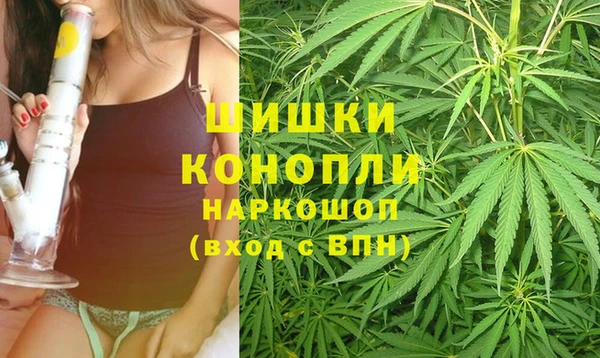 альфа пвп Новокубанск