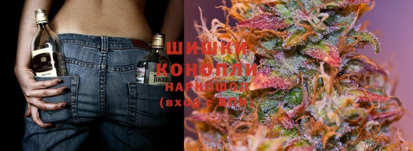 СК Новозыбков