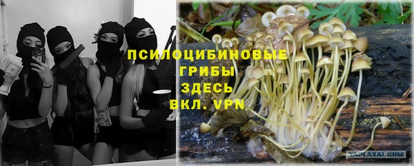альфа пвп Новокубанск
