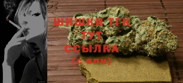 СК Новозыбков