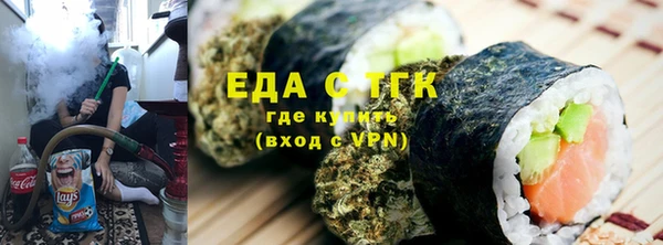 СК Новозыбков