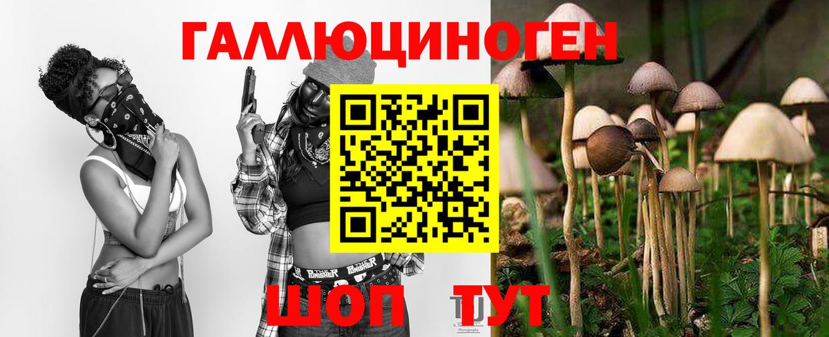 Галлюциногенные грибы прущие грибы  Псилоцибиновые грибы Magic Shrooms  Туймазы 