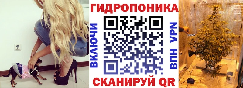 Конопля гибрид Туймазы